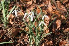 Killikus&reg; Fotographie